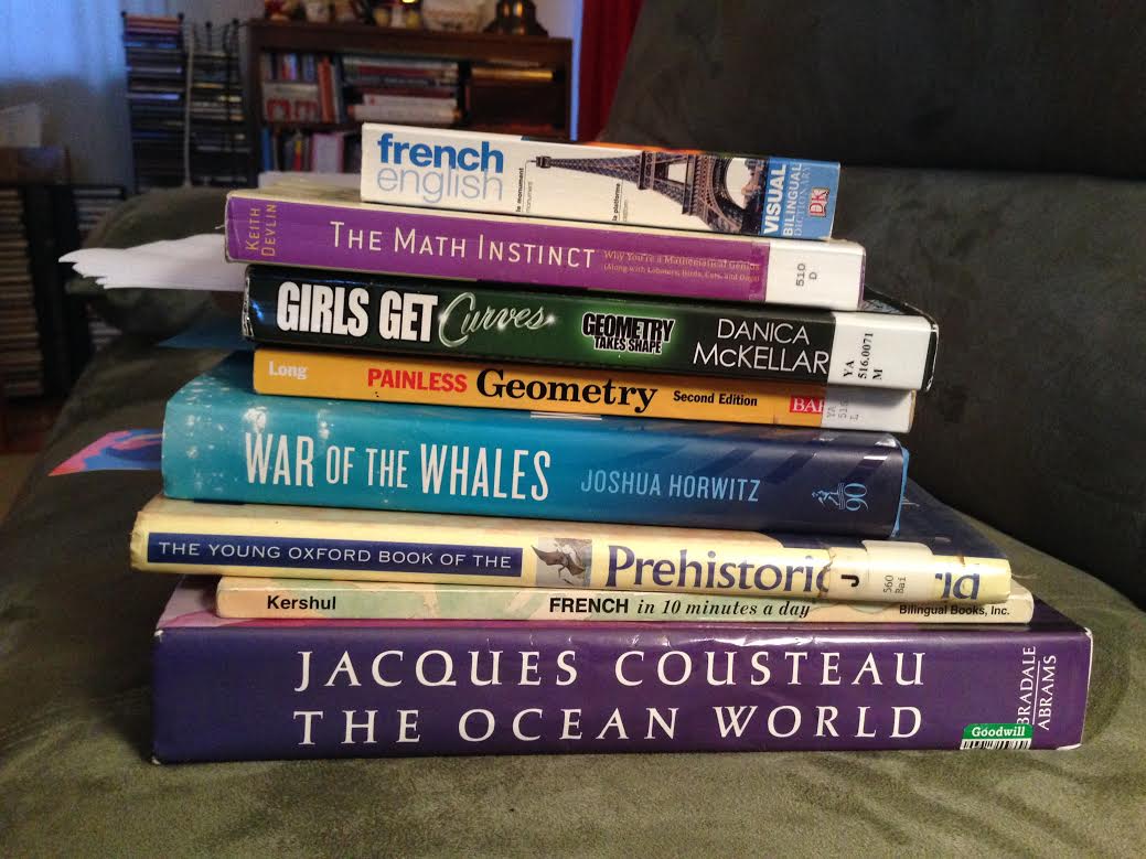 Pile of books for homeschooling