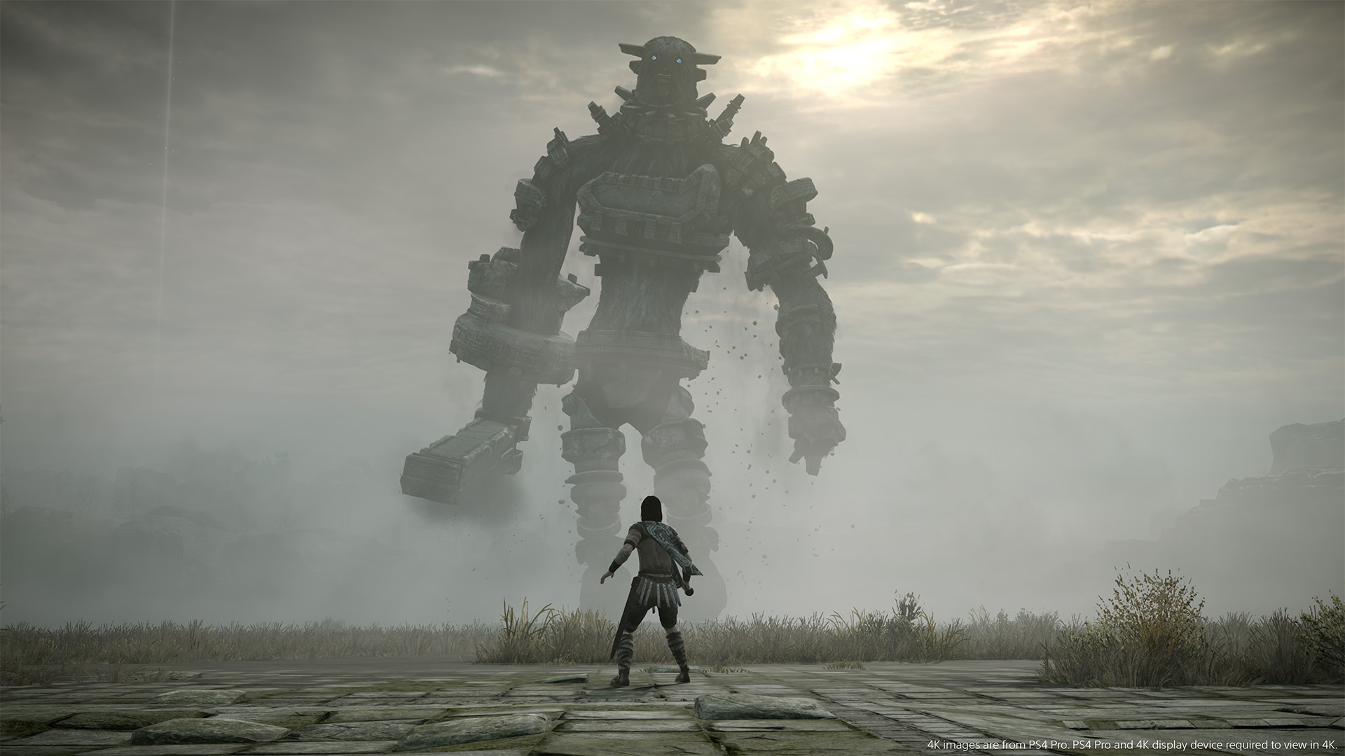 Screenshot from the videogame Shadow of the Colossus